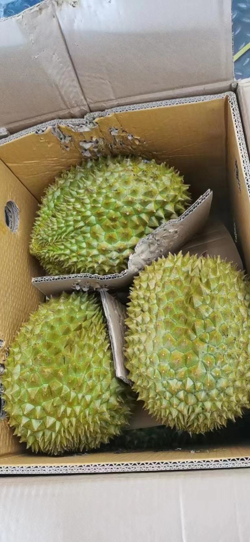 泰国金枕榴莲泰像榴莲广州江南水果批发配送