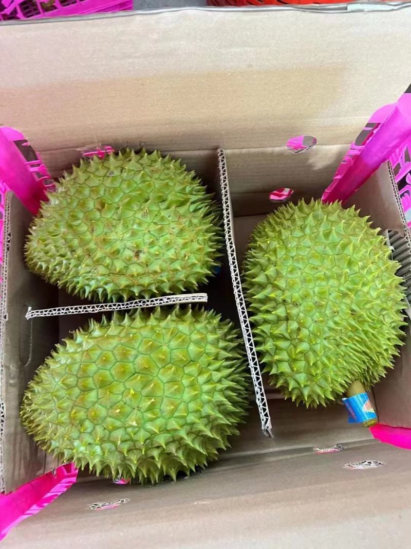 泰国金枕榴莲泰像榴莲广州江南水果批发配送