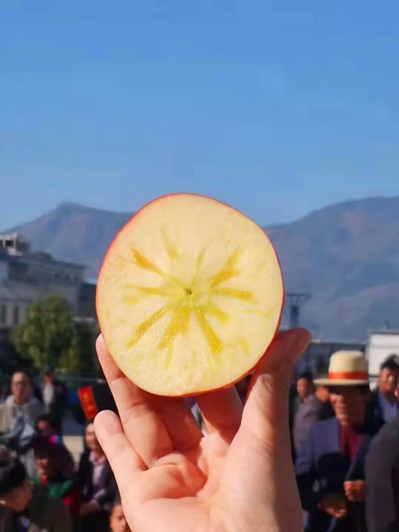 丑苹果，大凉山盐源糖心苹果，离太阳*近，离城市*远现采摘