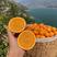 脐橙橙子品种多，货源充足，现摘现发，全国发货！随行就市！