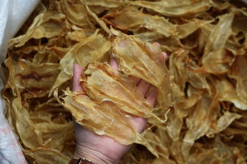 60头墨西哥公肚鱼胶花胶足干货厚肉原色老胶原装货泡发率高