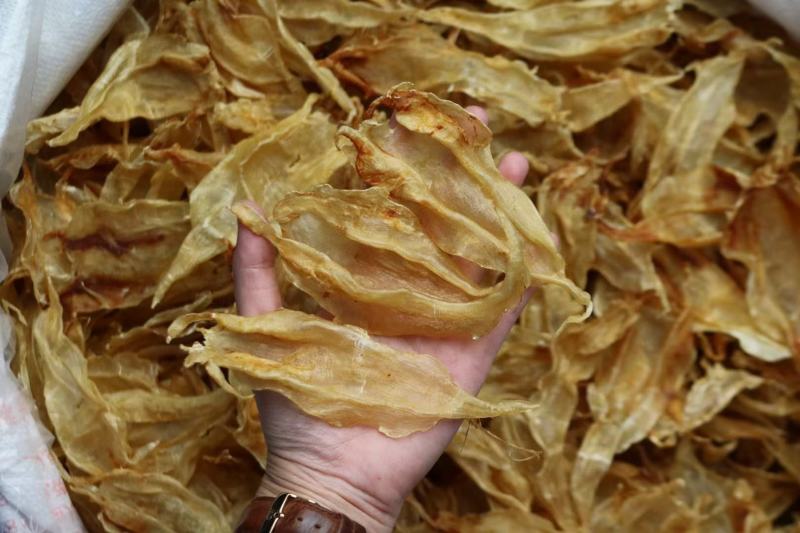 60头墨西哥公肚鱼胶花胶足干货厚肉原色老胶原装货泡发率高