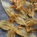 60头墨西哥公肚鱼胶花胶足干货厚肉原色老胶原装货泡发率高