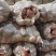 精品电商货青薯9号土豆青海高原精品土豆产地发货欢迎咨询