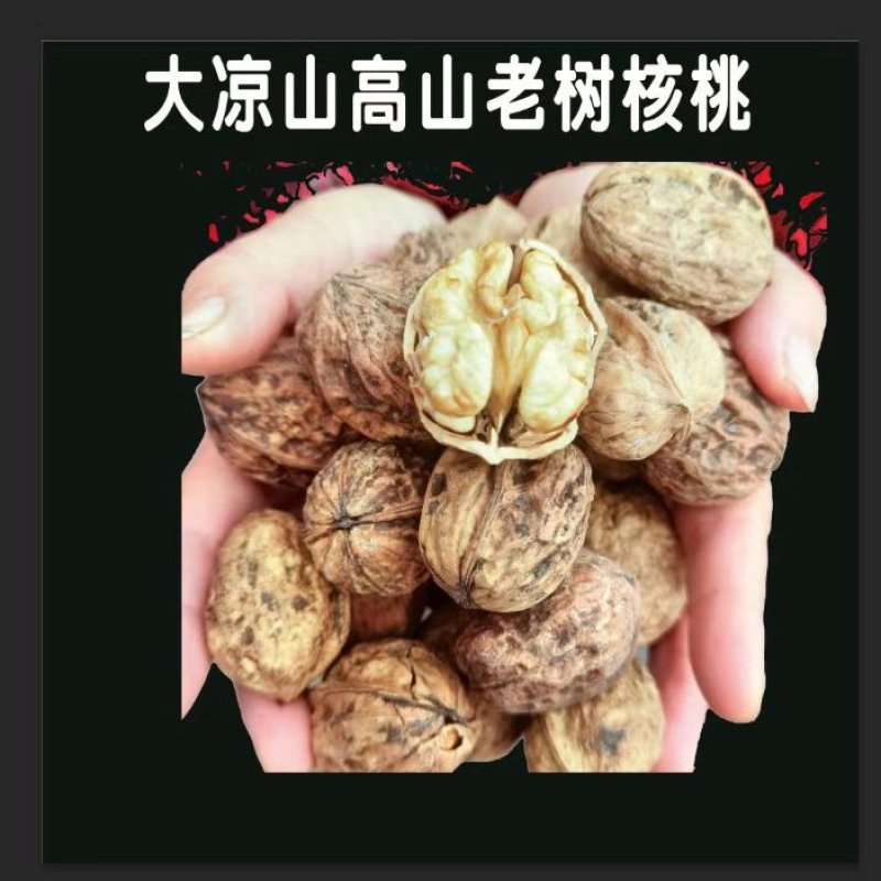 新货四川大凉山高山海拔野生薄皮核桃甜香不带一点点苦涩味