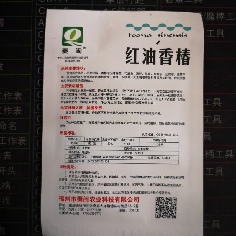 陕西红油香椿种子农户种植户农家庭院