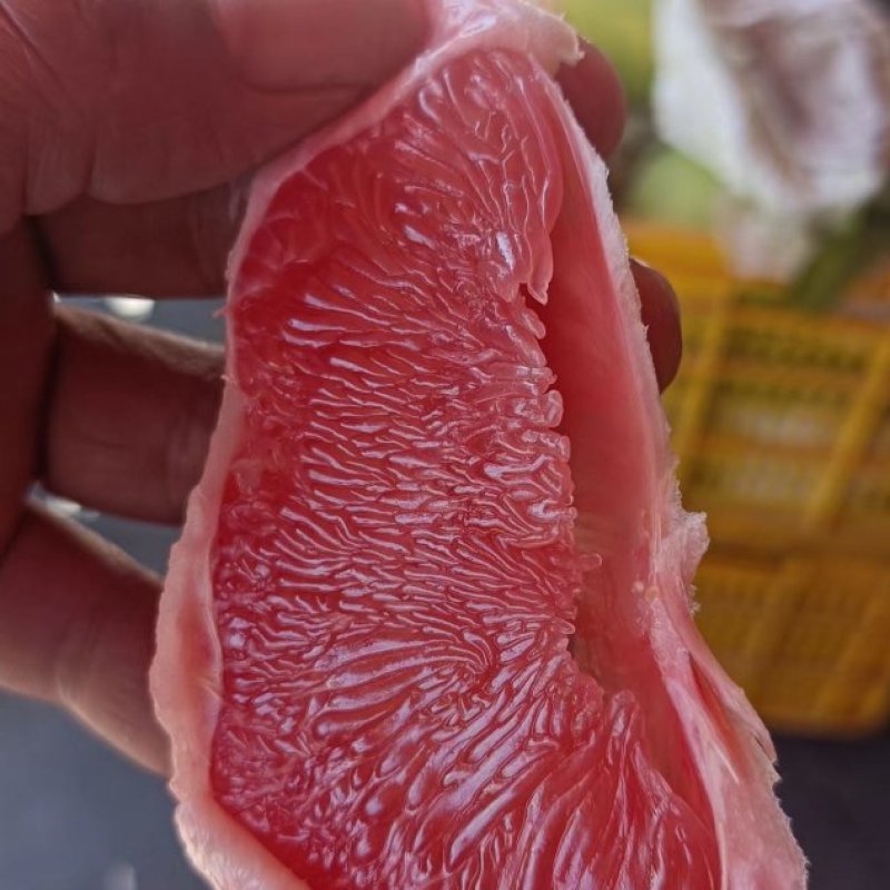红宝石青柚