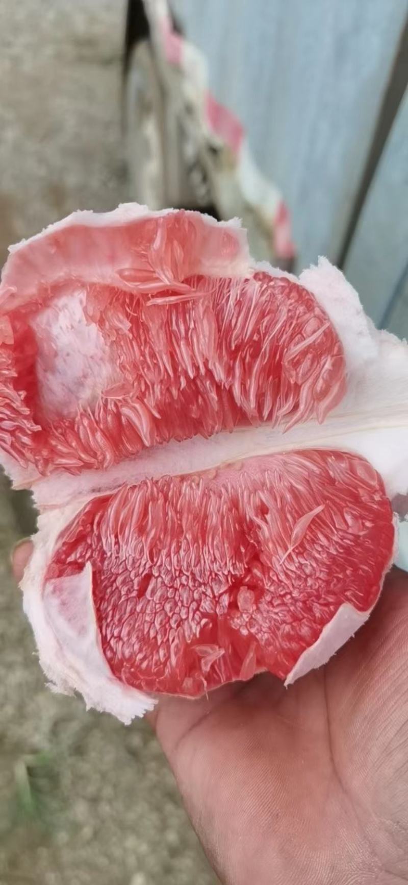 红宝石青柚