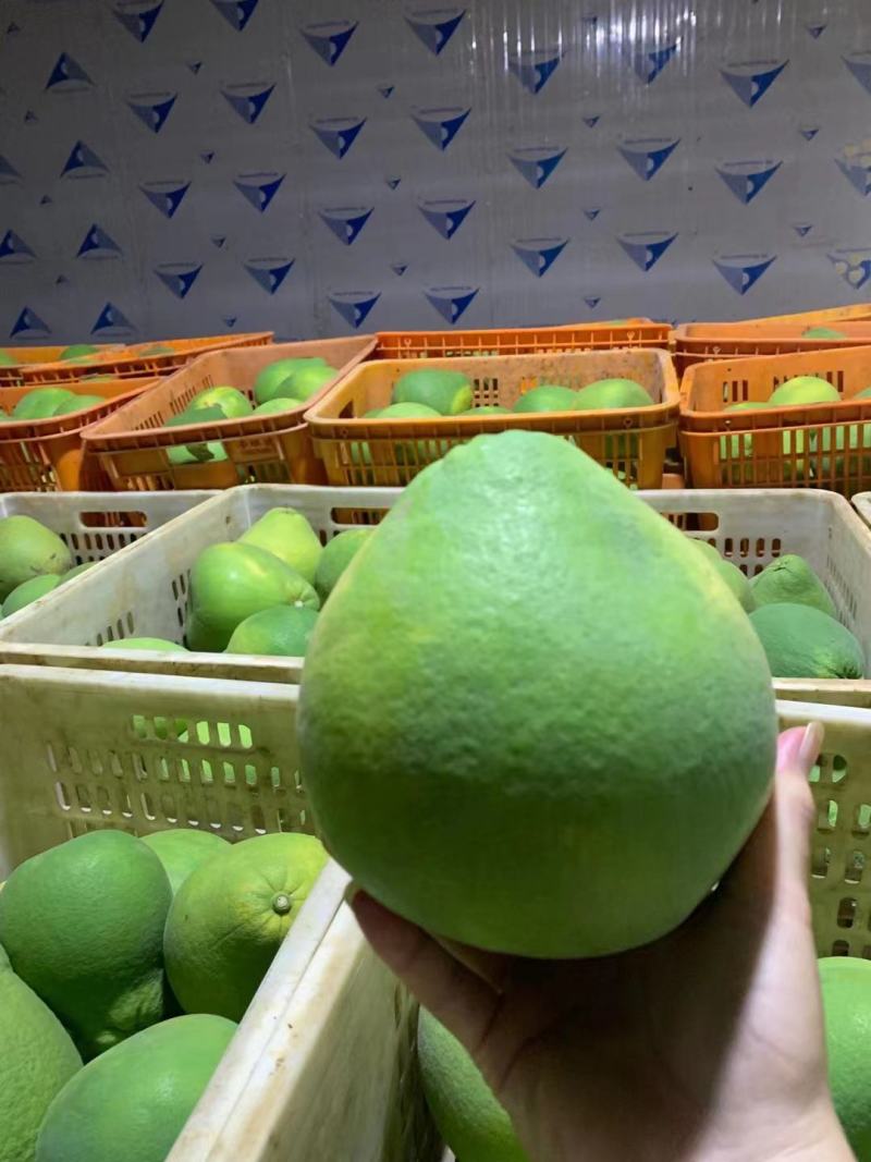 红宝石青柚