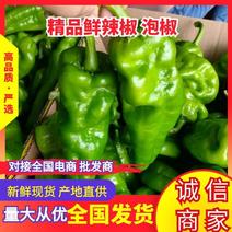 本地鲜辣椒大青椒精品泡椒大量上市，价格美丽产地直供