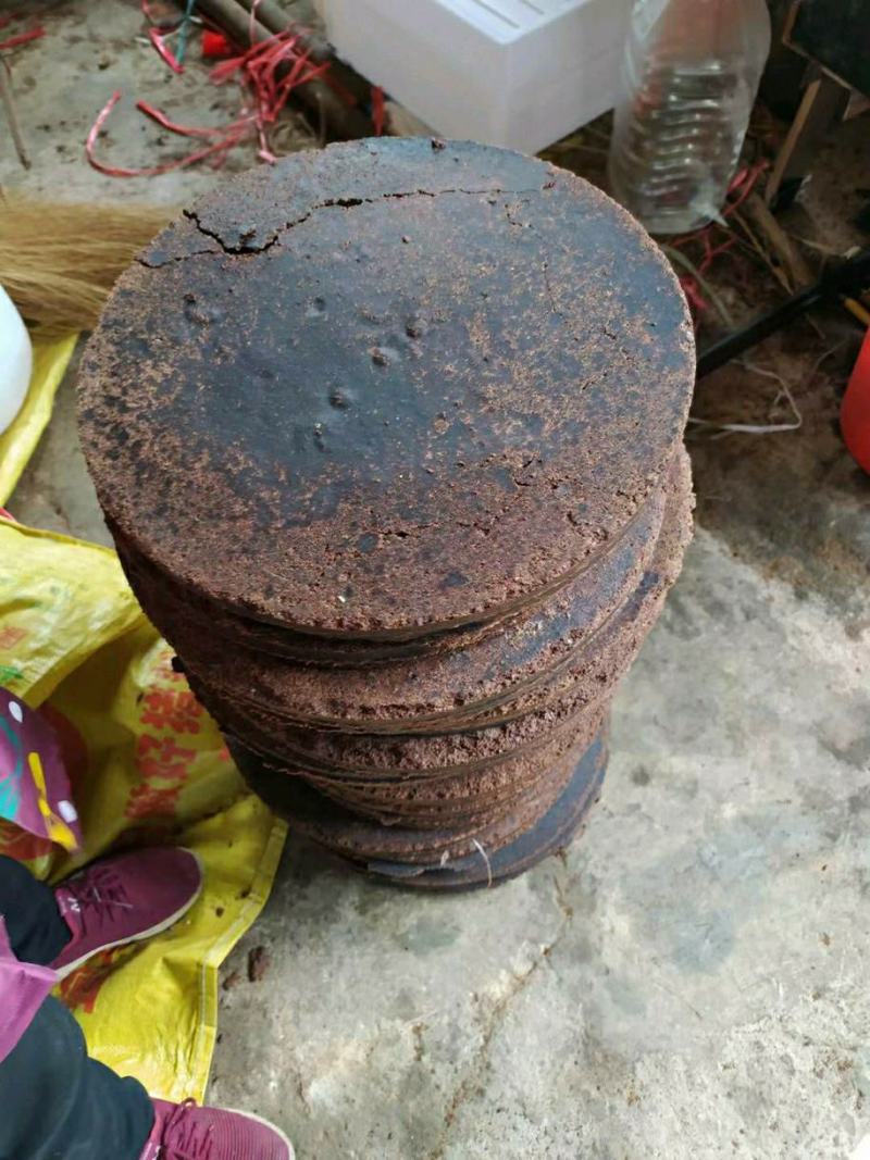 正宗茶油