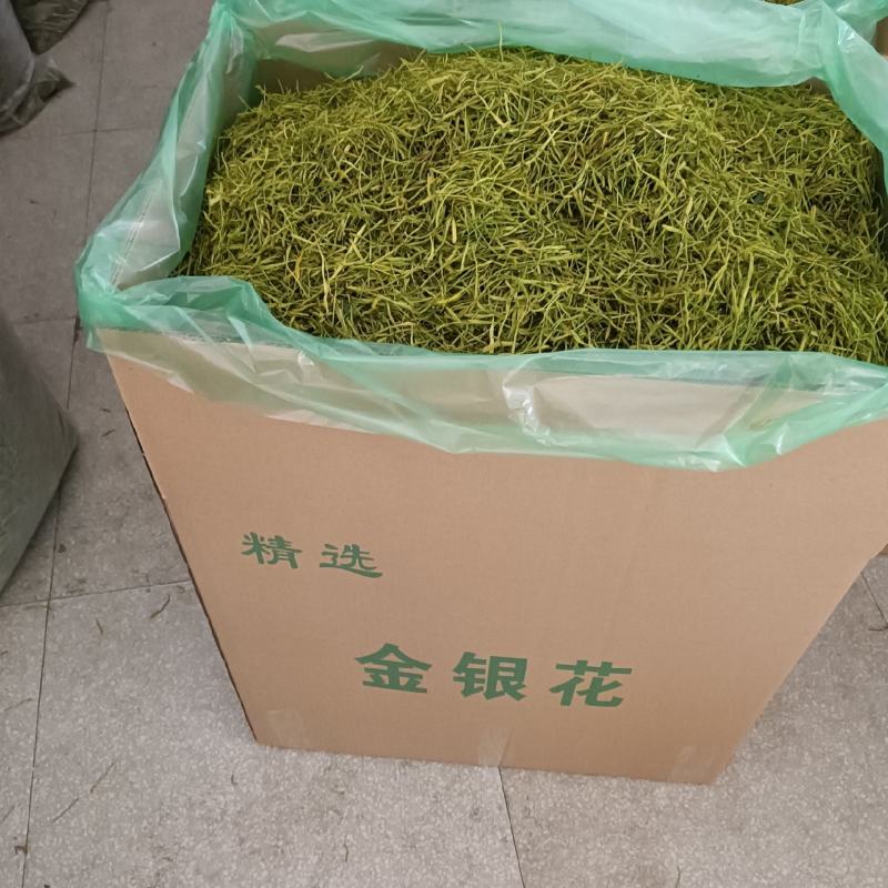 湖南隆回金银花茶，产地一手货源，无中间商产地直发