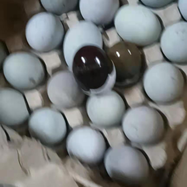 大量批发松花蛋，电商旅社饭店摆摊都可，质优价廉，欢迎长期