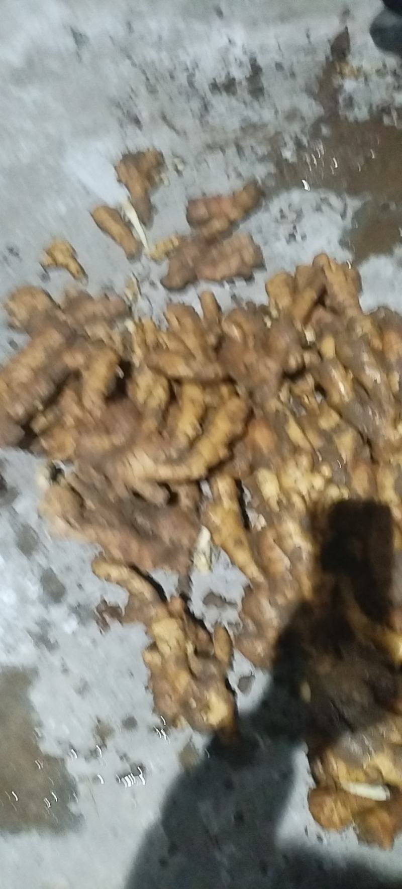 莱芜区生产地批发