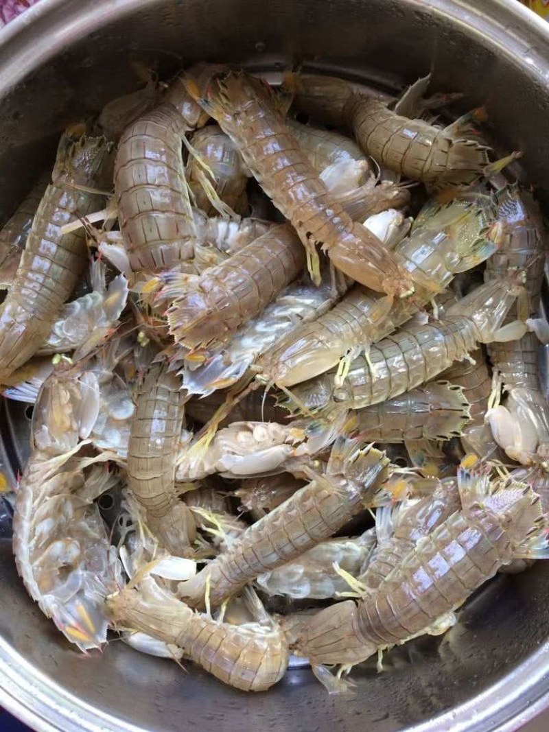皮皮虾，虾姑，濑尿虾