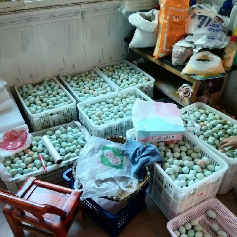 绿壳鸡蛋