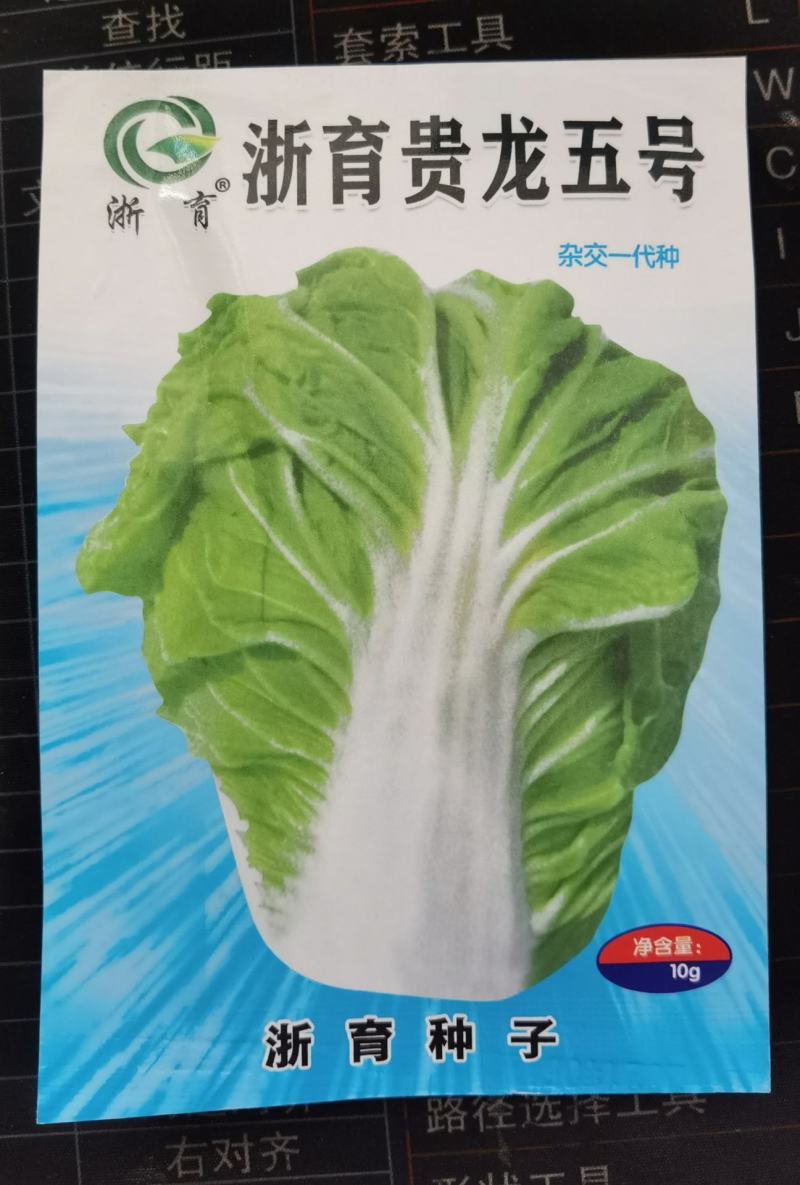 贵龙五号早熟白菜种子农户种植户农家庭院，阳台均可种植蔬菜