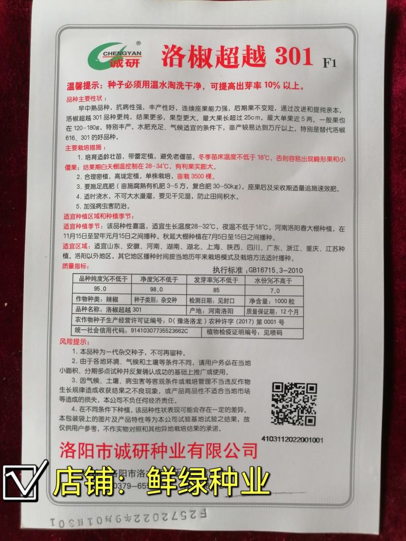 洛椒301牛角椒泡椒辣椒种子中早熟丰产抗性优质