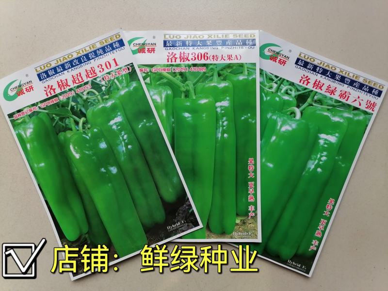 洛椒301牛角椒泡椒辣椒种子中早熟丰产抗性优质