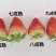 山东济南平章姬草莓甜宝草莓以成熟，欢迎各渠道洽谈合作！