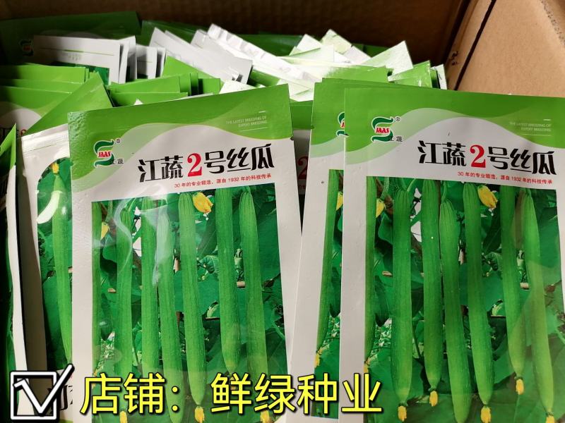 江蔬2号丝瓜早熟长棒形果皮亮绿色果肉细嫩较耐变