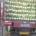 河北省定州市北京3号白菜大白菜纯净菜