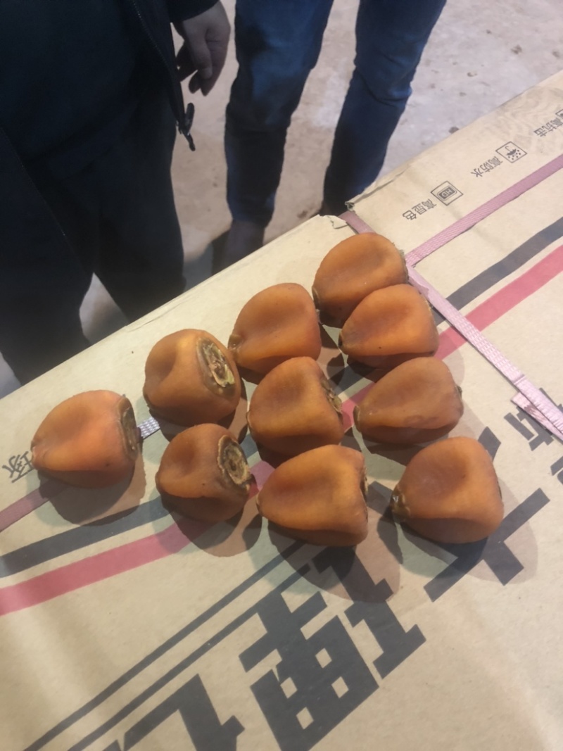柿饼吊饼产地直供价格优惠质量保证