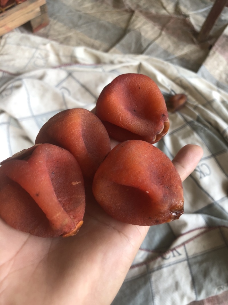 柿饼吊饼产地直供价格优惠质量保证