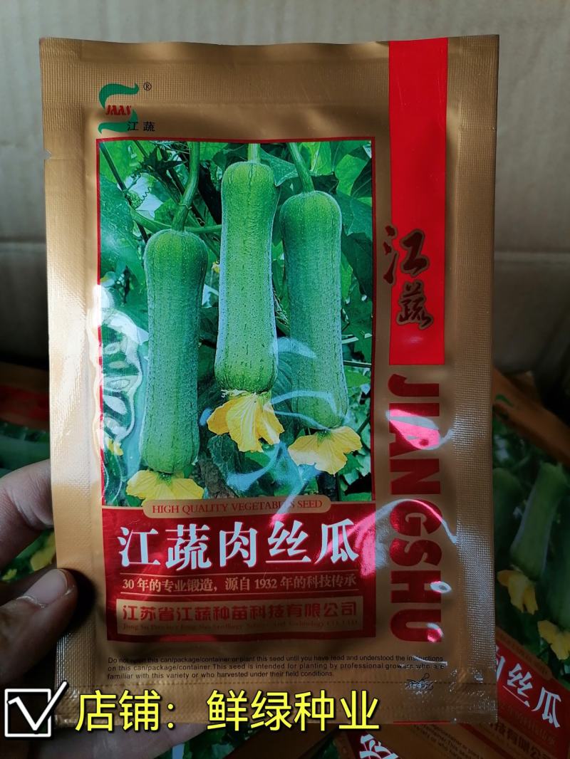 江蔬肉丝瓜早熟肉丝瓜杂交品种耐低温耐老化风味佳