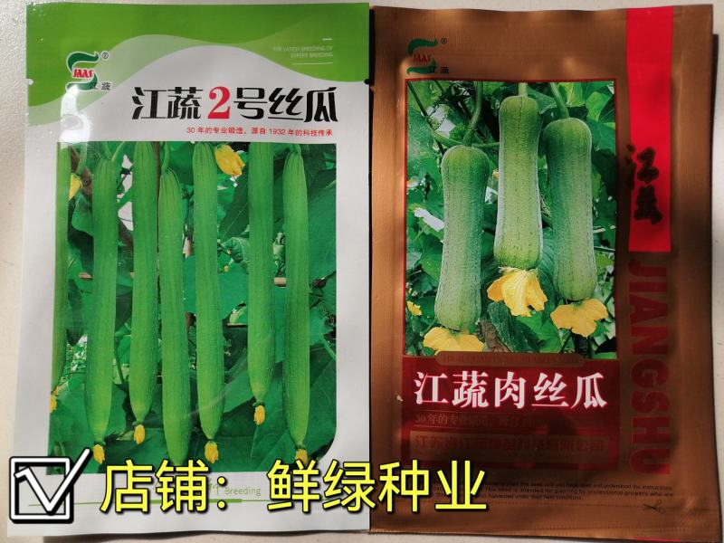 江蔬肉丝瓜早熟肉丝瓜杂交品种耐低温耐老化风味佳