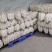 精品白萝卜大量上市货源充足价格美丽欢迎客户咨询采购