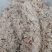 无骨带皮鮰鱼腩碎肉（10KG/件、10件起发）