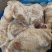 猪肉纯干货，肥猪前腿后腿肉价格便宜，便宜，货好价低