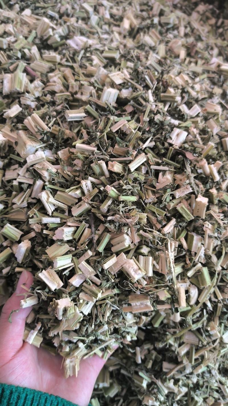 益母草新鲜干货益母草益母草无硫干净益母草地道中药材