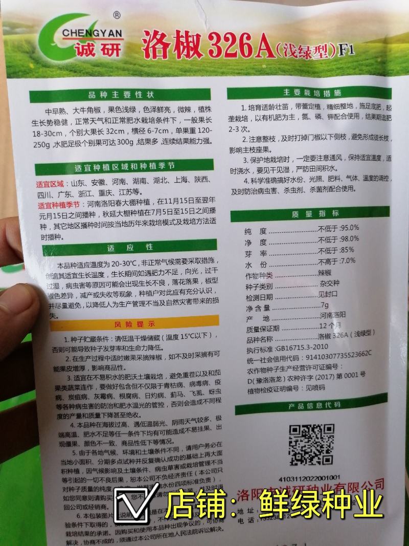 洛椒326A（浅绿型）中早熟大牛角椒果色浅绿色泽鲜亮