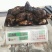 吉林双阳批发干鹿心鲜鹿心鹿心丸量大从优