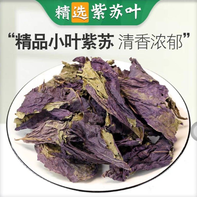 紫苏叶中药紫苏叶无硫草药苏叶地道中药材紫苏叶