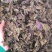 紫苏叶中药紫苏叶无硫草药苏叶地道中药材紫苏叶