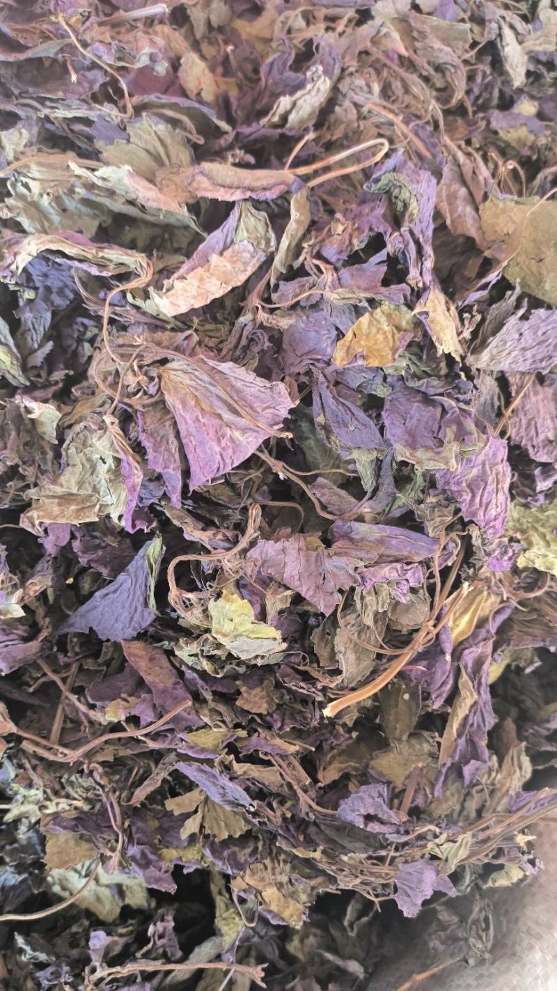 紫苏叶中药紫苏叶无硫草药苏叶地道中药材紫苏叶