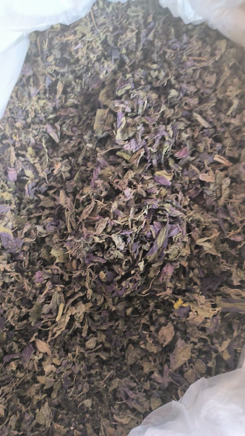 紫苏叶中药紫苏叶无硫草药苏叶地道中药材紫苏叶