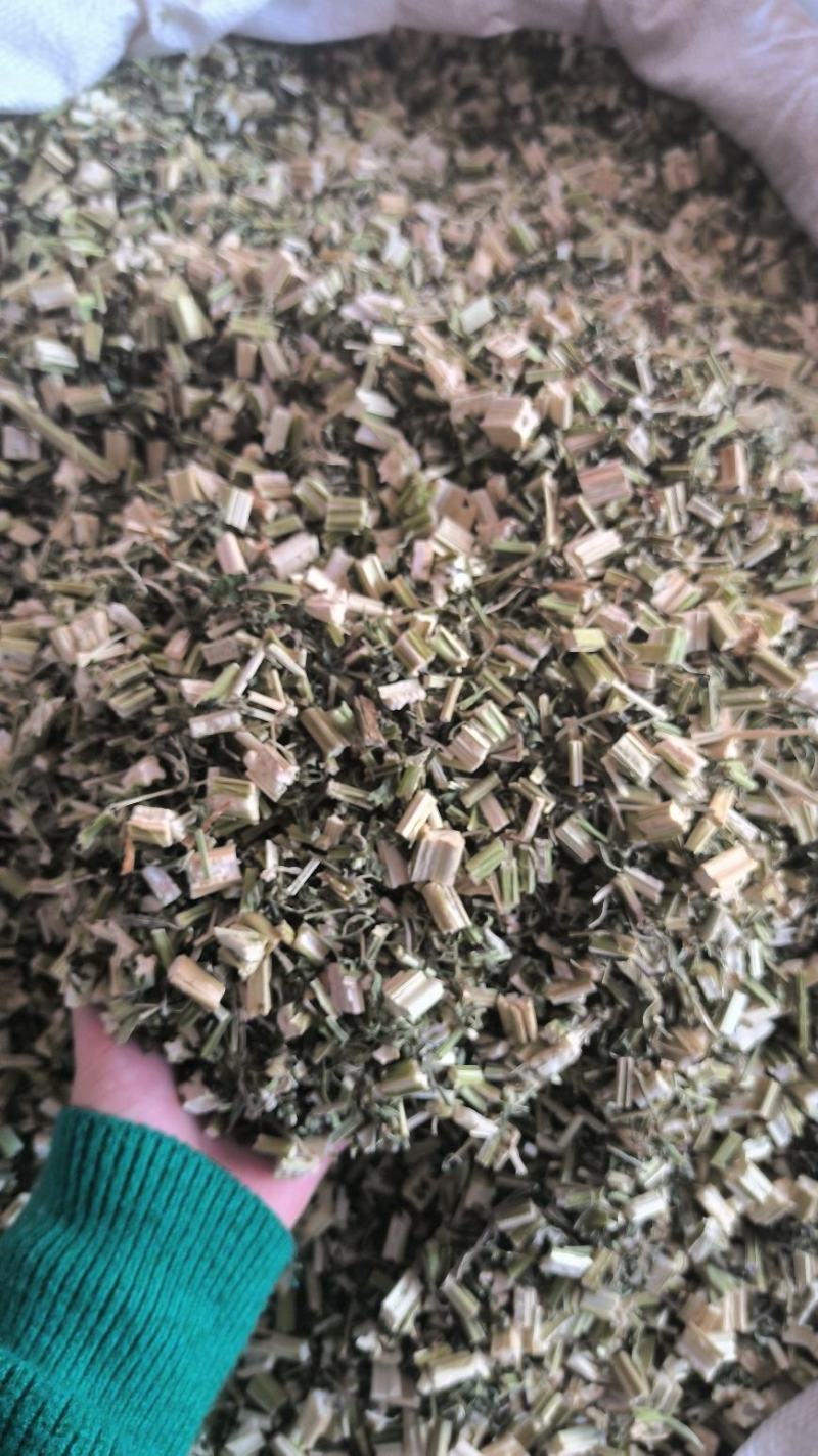 益母草新鲜干货益母草益母草无硫干净益母草地道中药材
