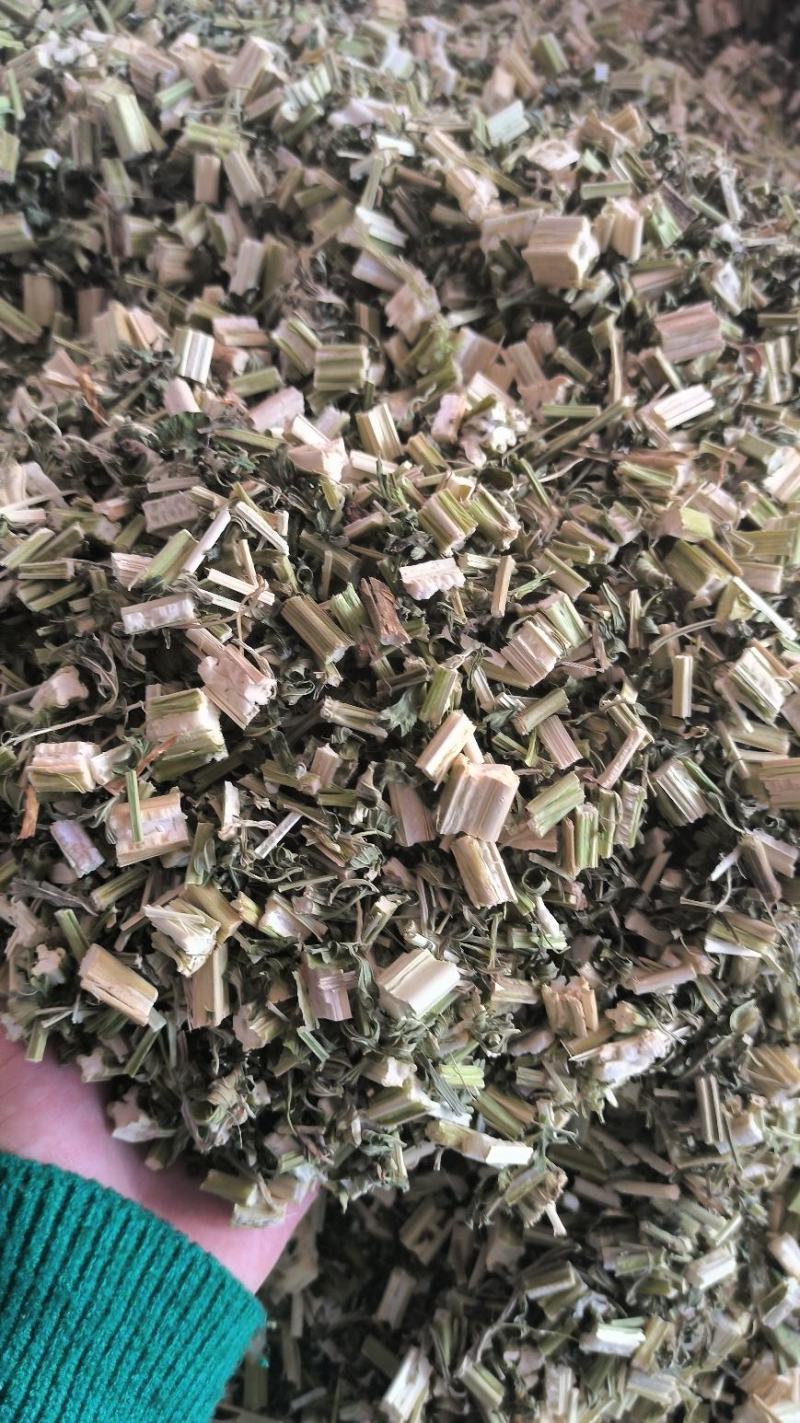 益母草新鲜干货益母草益母草无硫干净益母草地道中药材