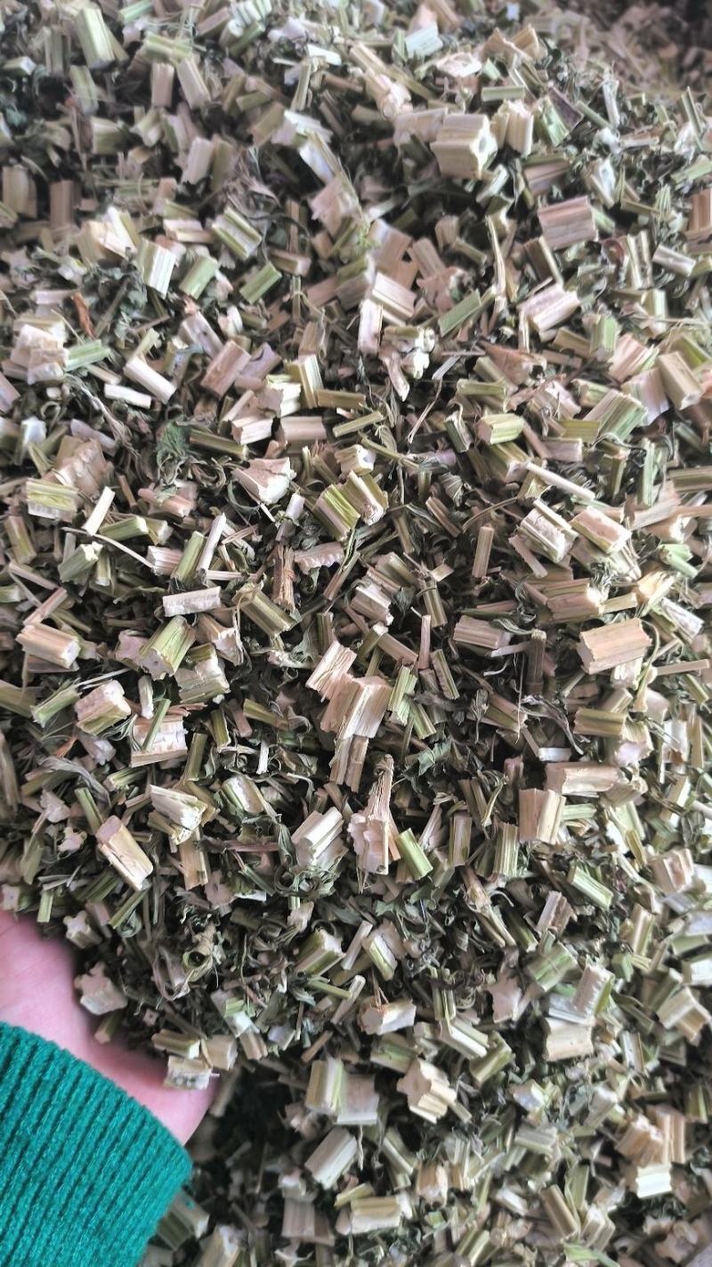 益母草新鲜干货益母草益母草无硫干净益母草地道中药材