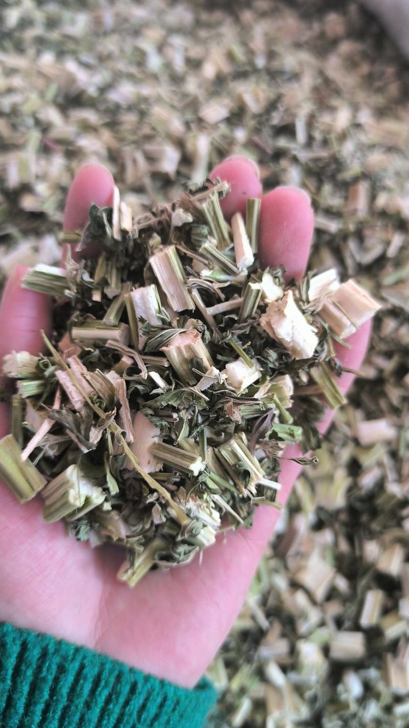 益母草新鲜干货益母草益母草无硫干净益母草地道中药材