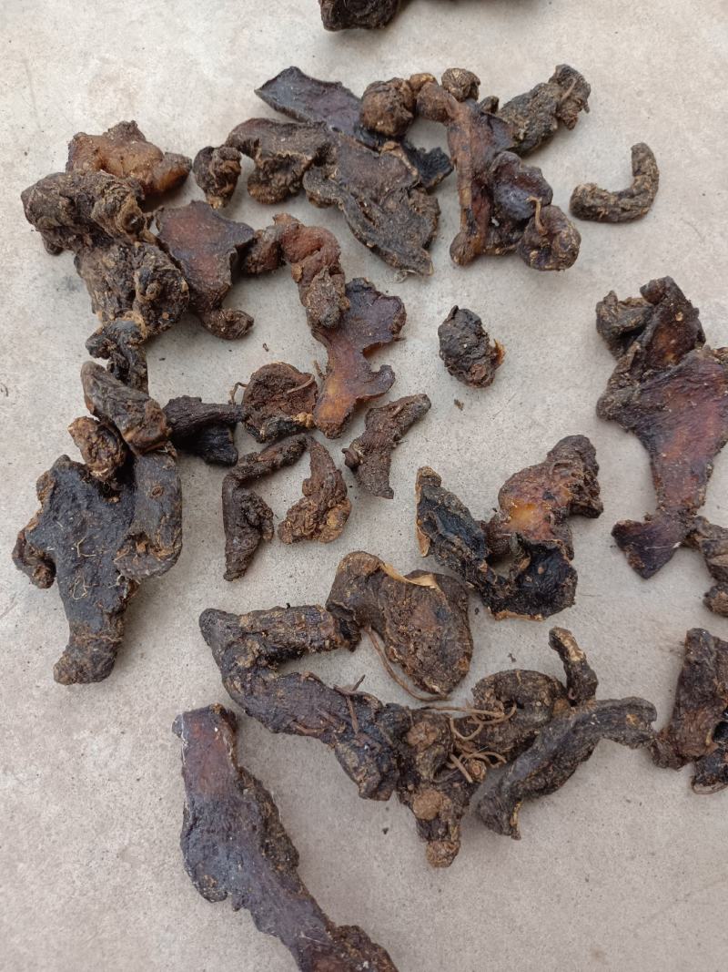 自己制作的熟黄精片子。