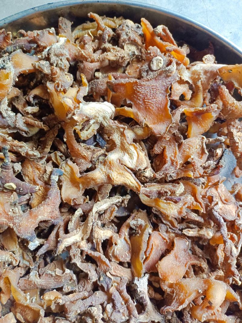 自己制作的熟黄精片子。