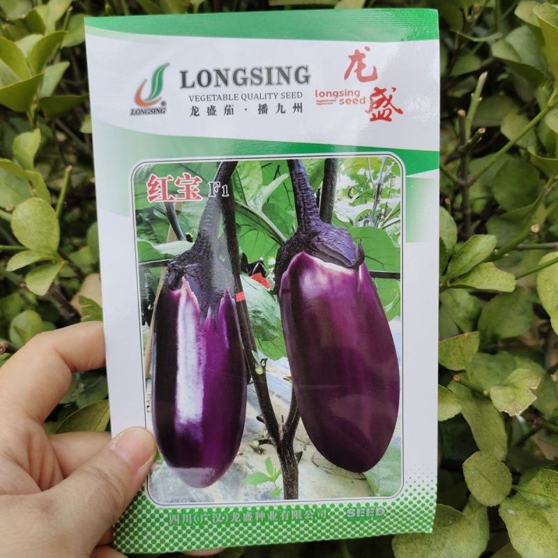 精选红宝紫红茄种子高产茄子种子紫红亮丽口感好品种佳优质
