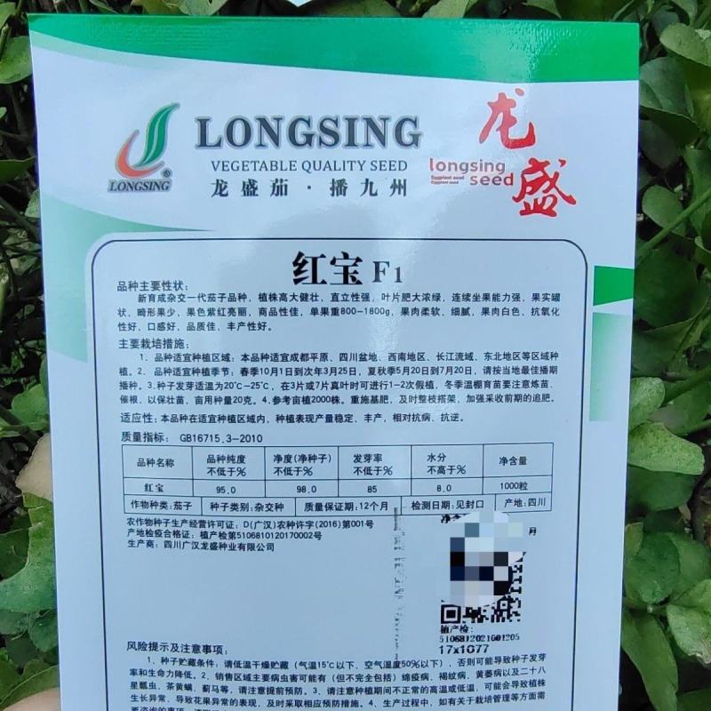 精选红宝紫红茄种子高产茄子种子紫红亮丽口感好品种佳优质