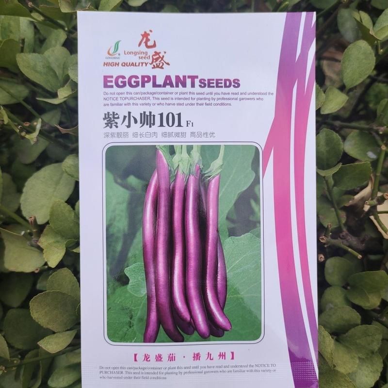 春秋紫茄种子紫小帅紫红亮长茄子种抗病丰产细长条线茄种子