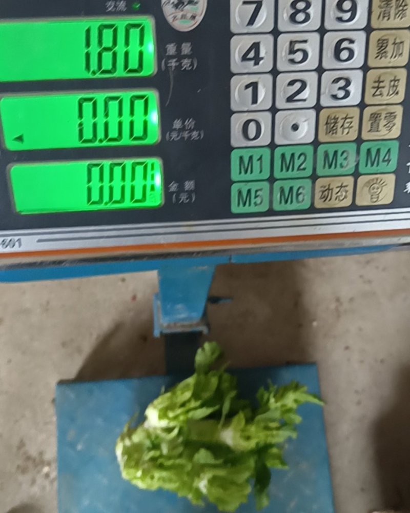 贵州儿菜